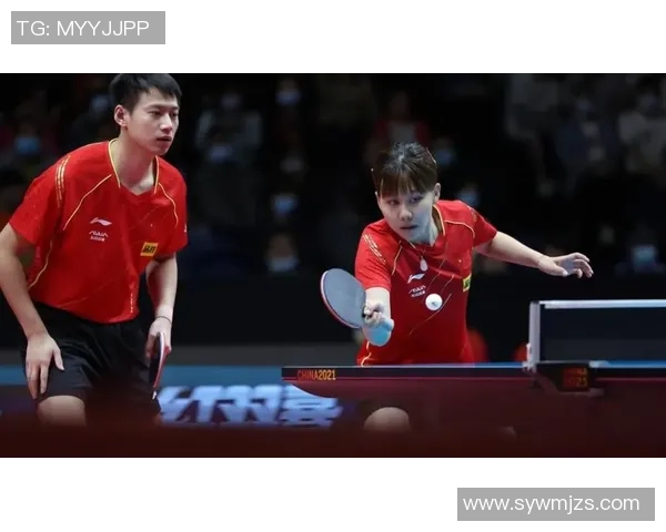专访杨磊：解密乒乓球成功之道